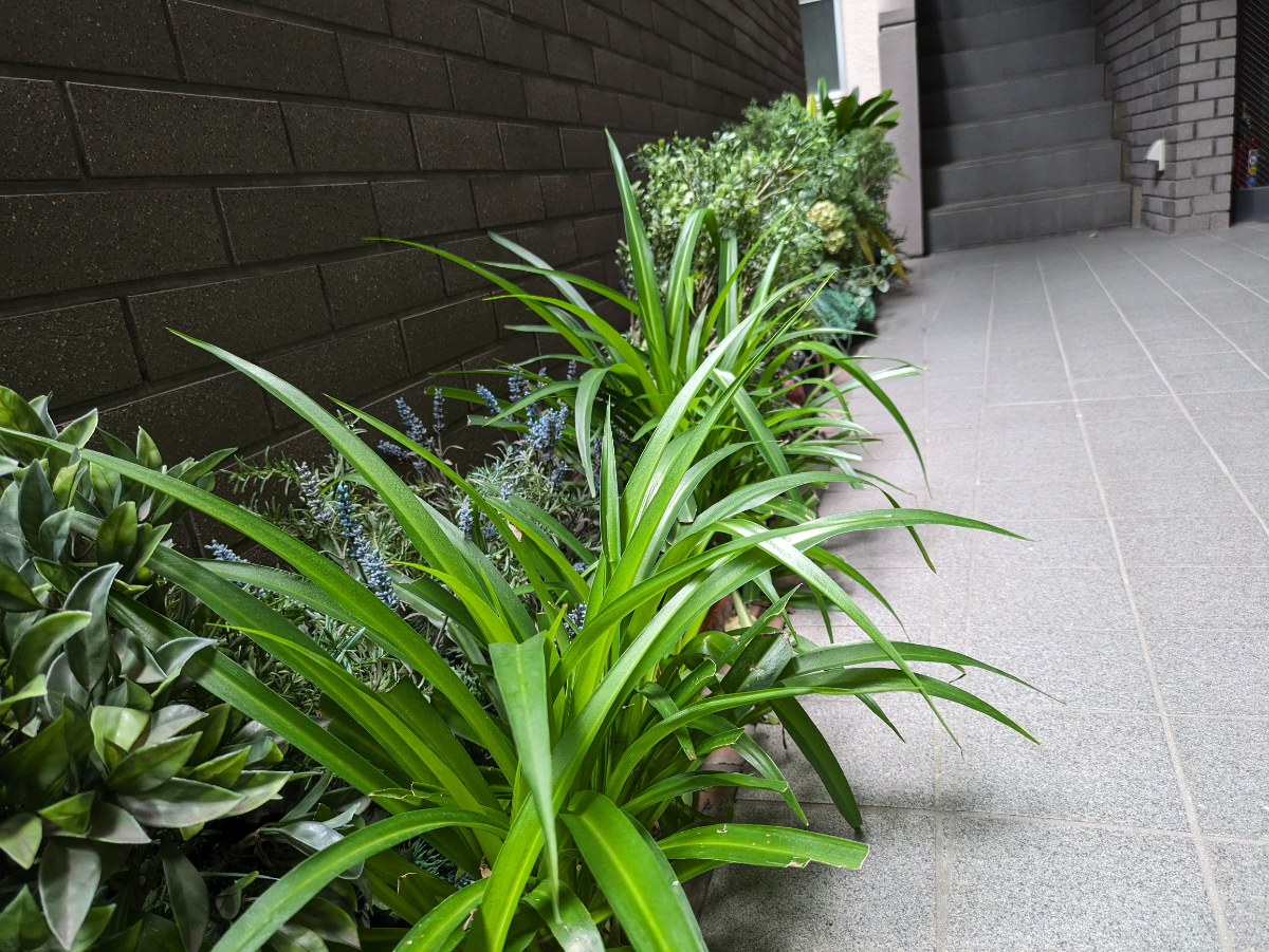 fresh/building/J00100360609_6