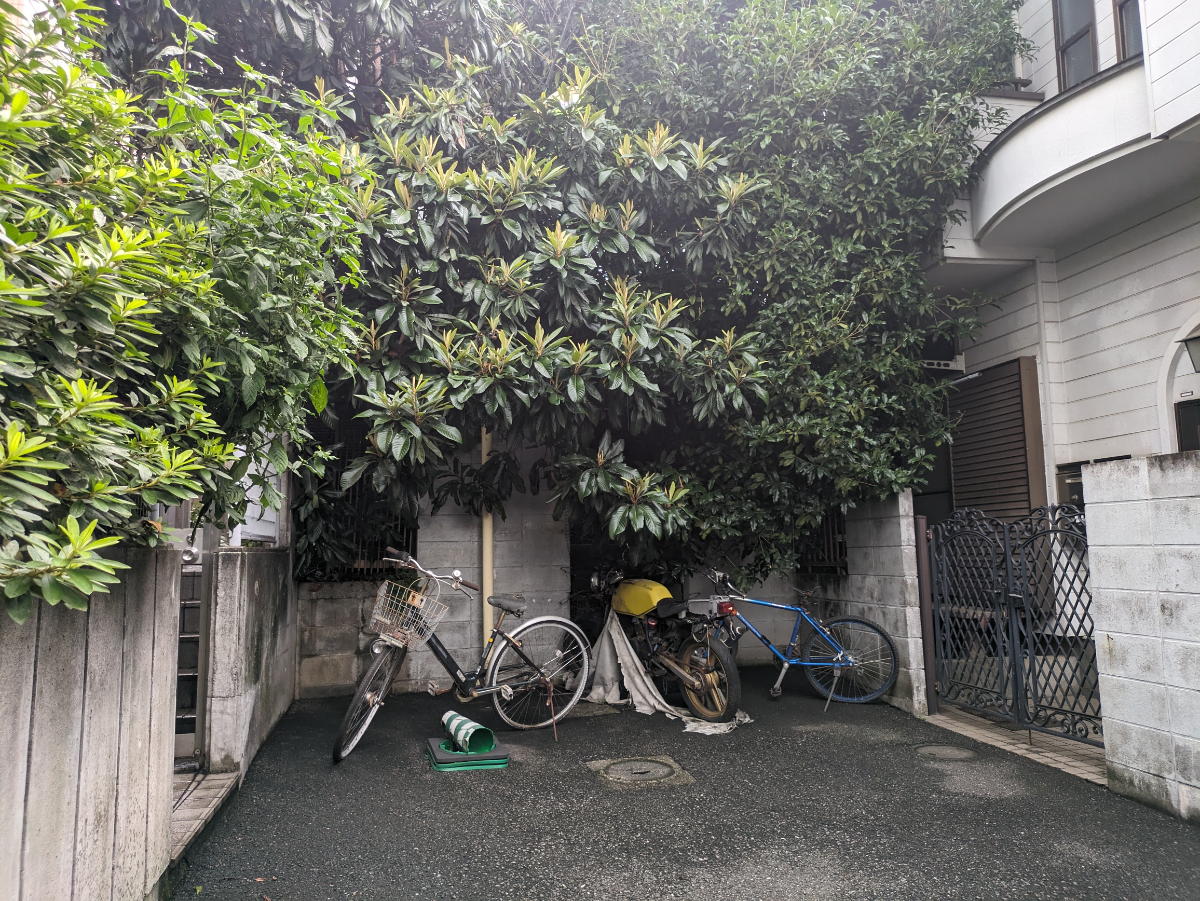 fresh/building/J00100360995_7