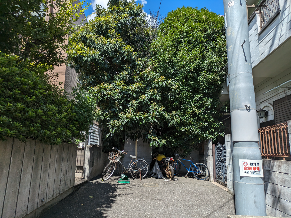 fresh/building/J00100360995_9