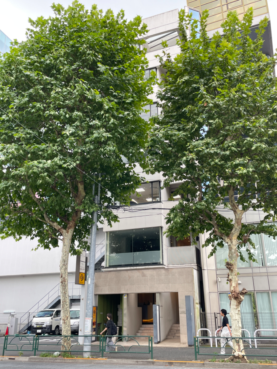 fresh/building/J00100361021_8