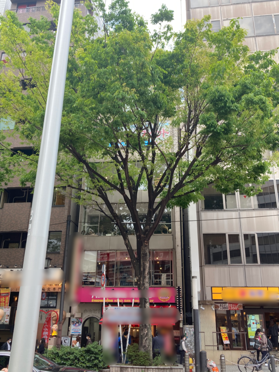 fresh/building/J00100362470_5