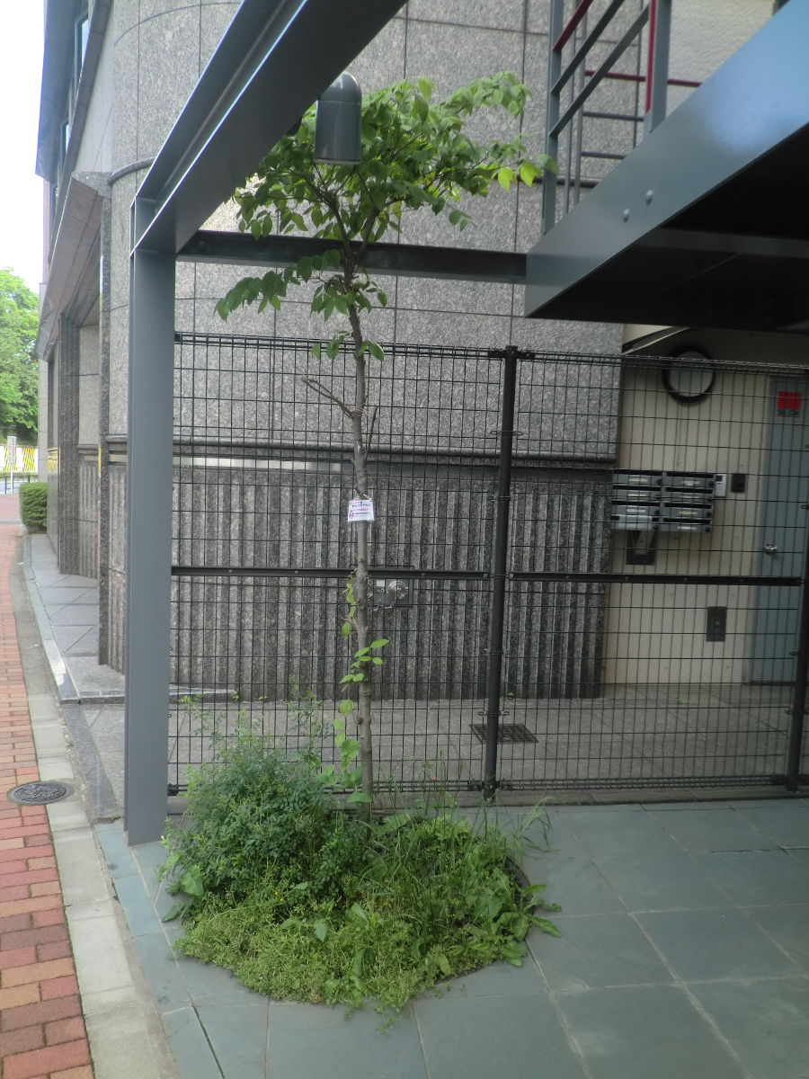 fresh/building/J00100363074_6