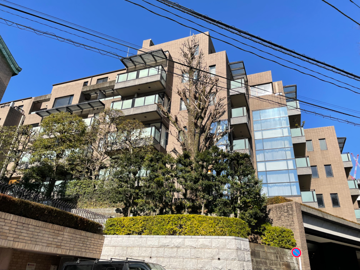 fresh/building/J00100363116_7