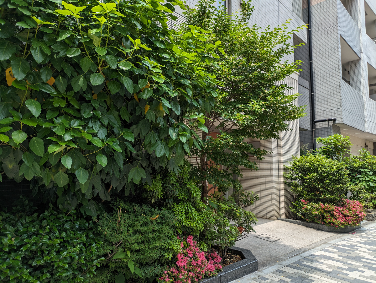 fresh/building/J00100363143_10