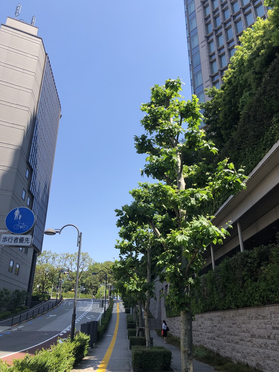 fresh/building/J00100363206_16