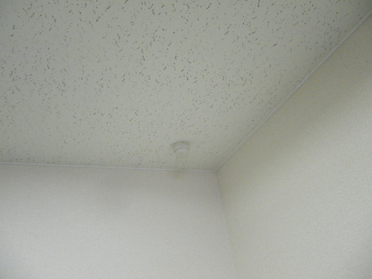 fresh/building/J00100363836_11