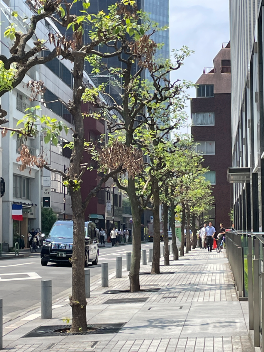 fresh/building/J00100364081_12
