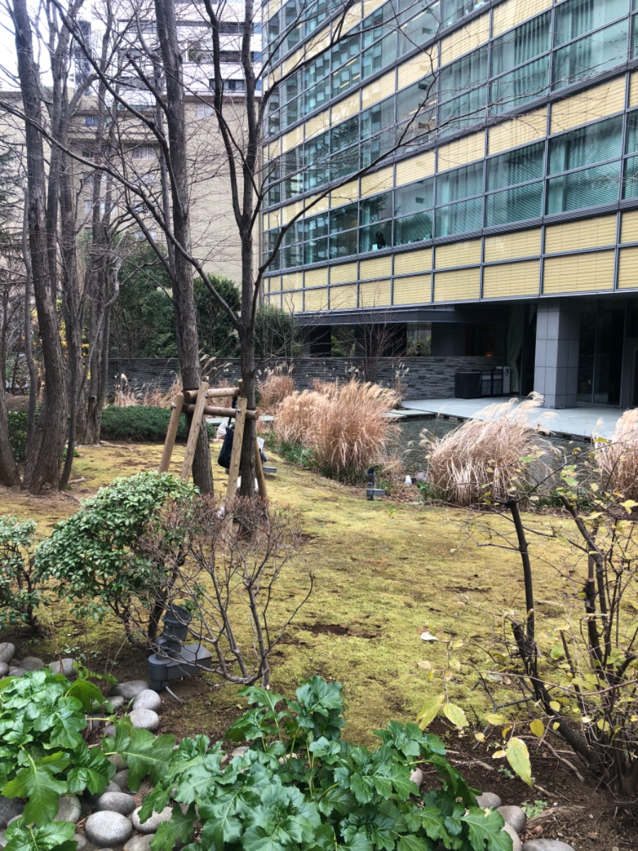 fresh/building/J00100364239_15