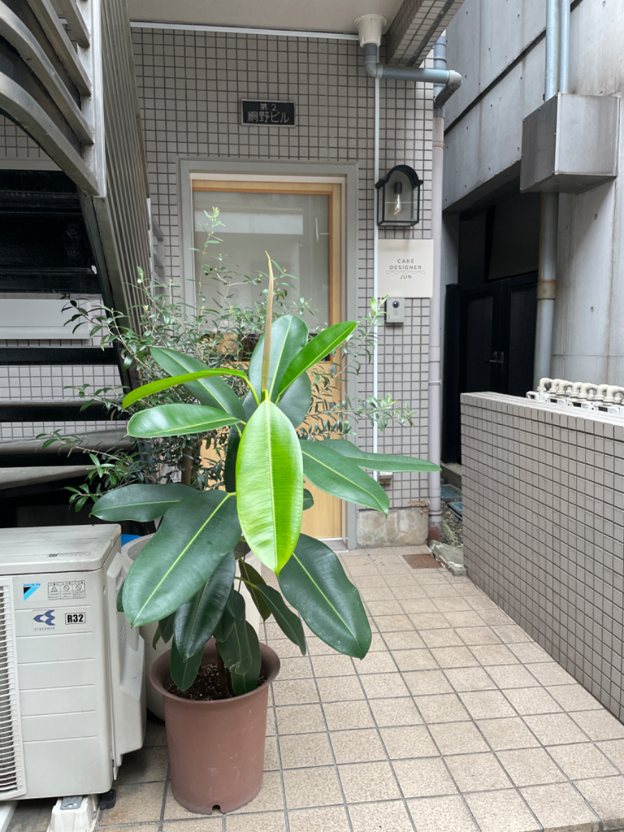 fresh/building/J00100364271_6