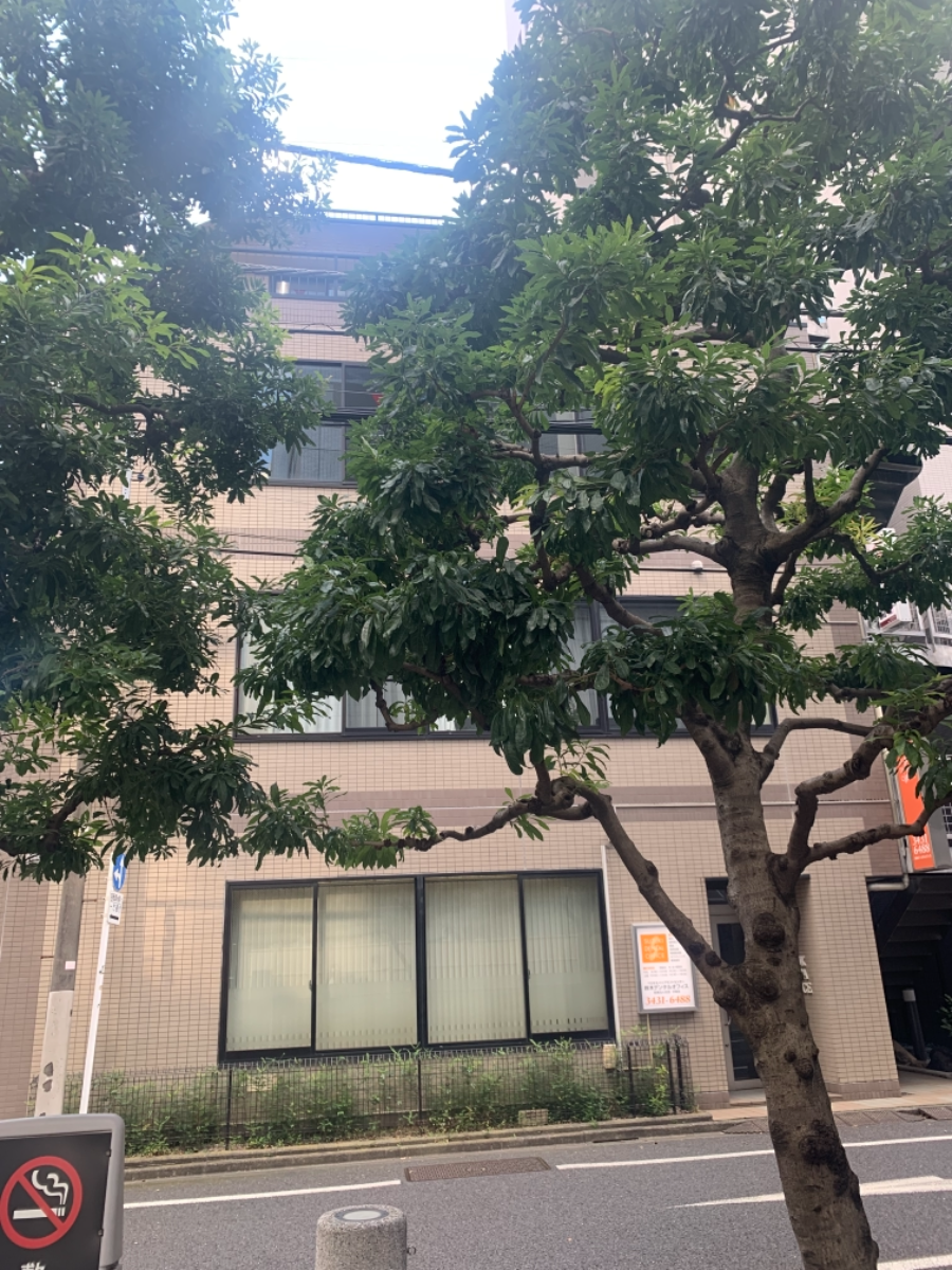 fresh/building/J00100364562_9