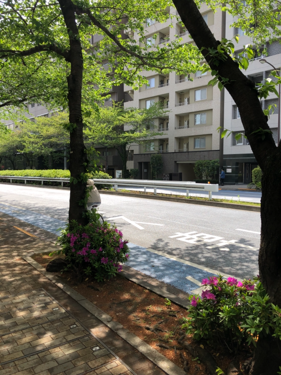 fresh/building/J00100364685_2