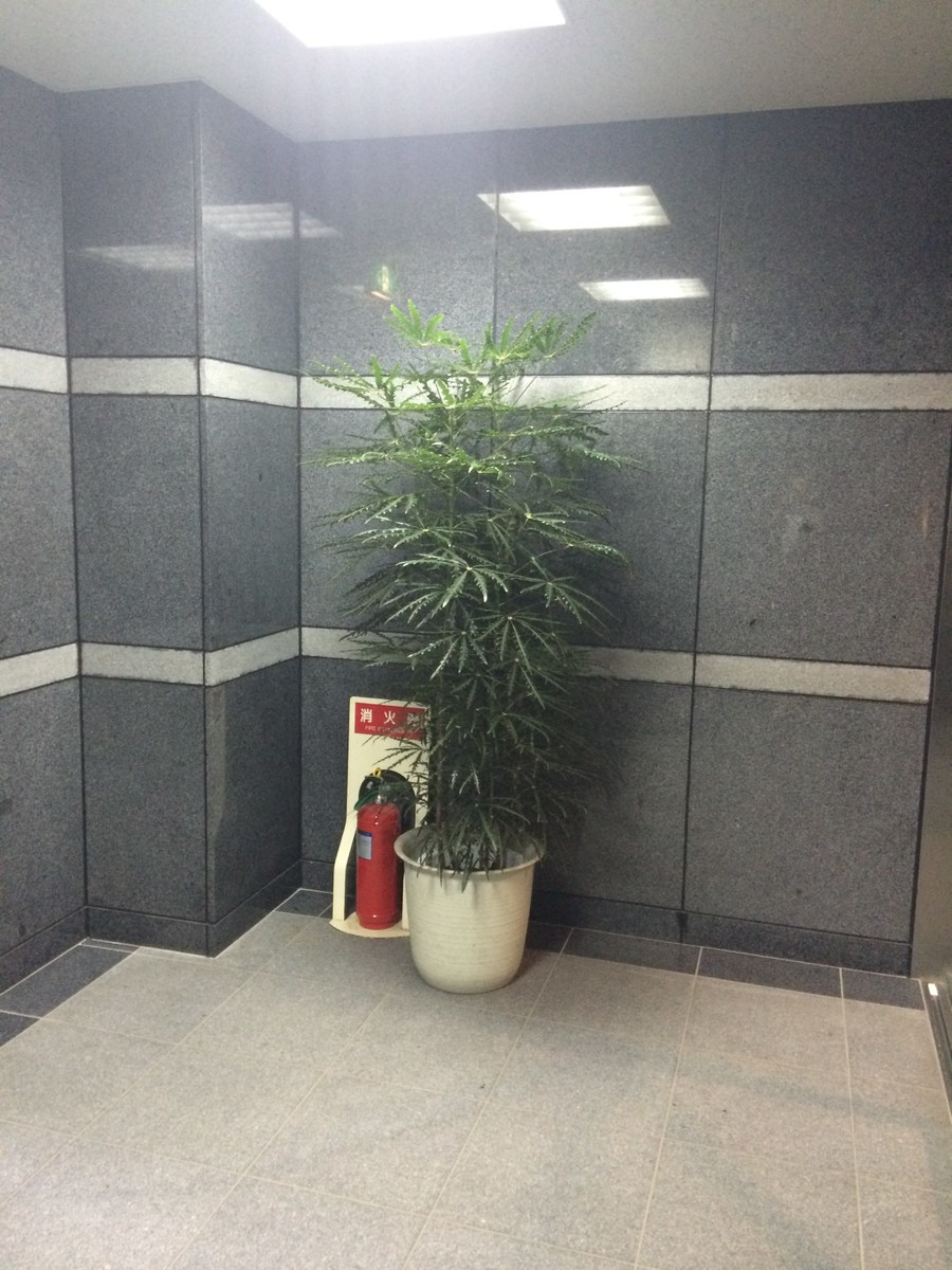 fresh/building/J00100364699_14