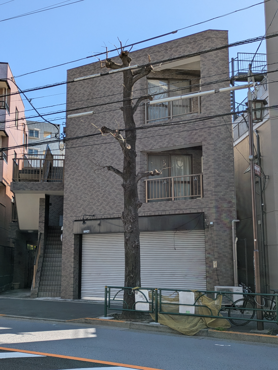 fresh/building/J00100365258_13