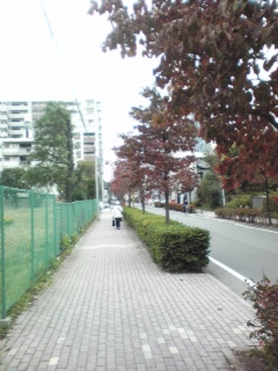 fresh/building/J00100365860_2