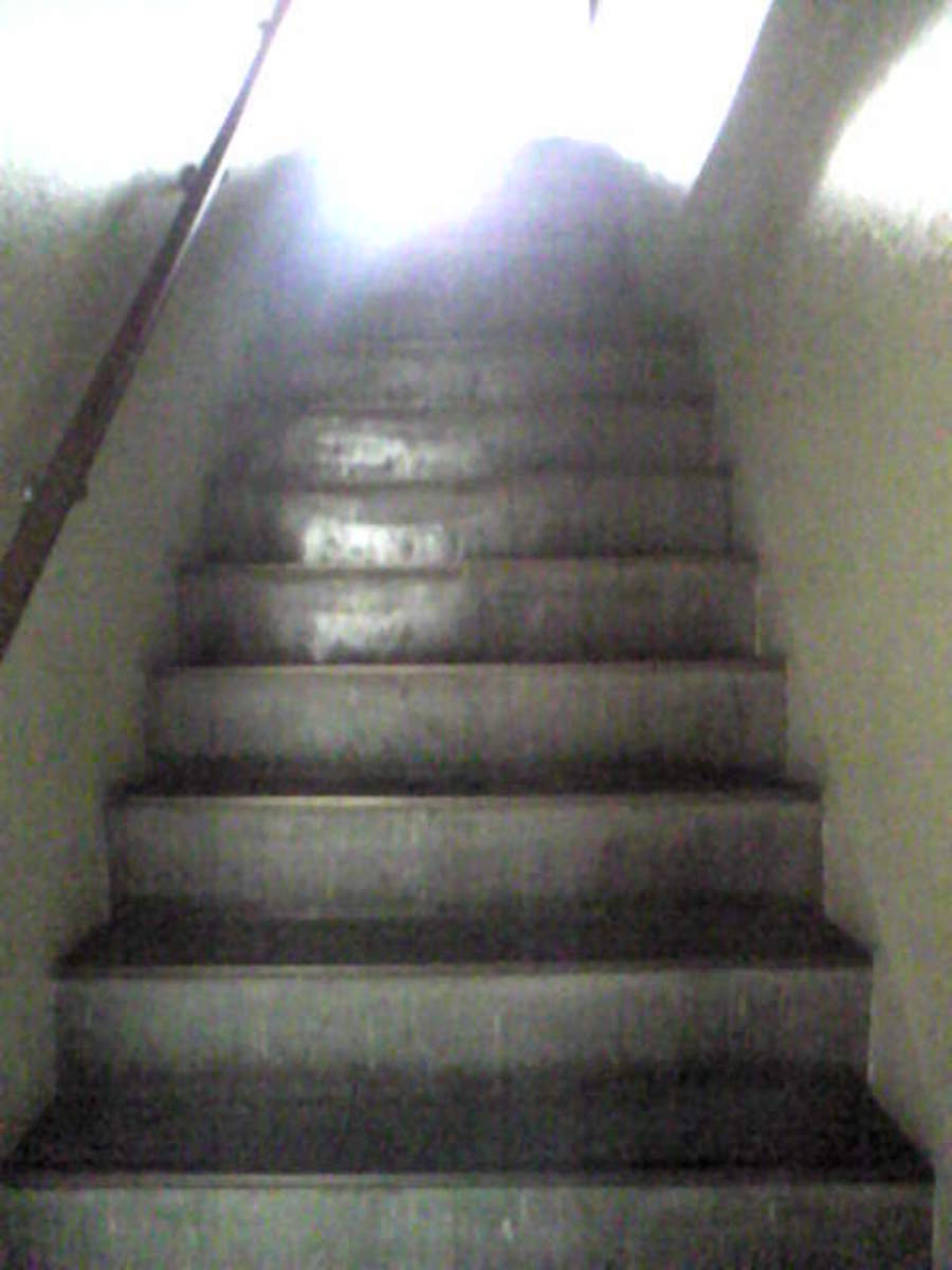 fresh/building/J00100366208_4
