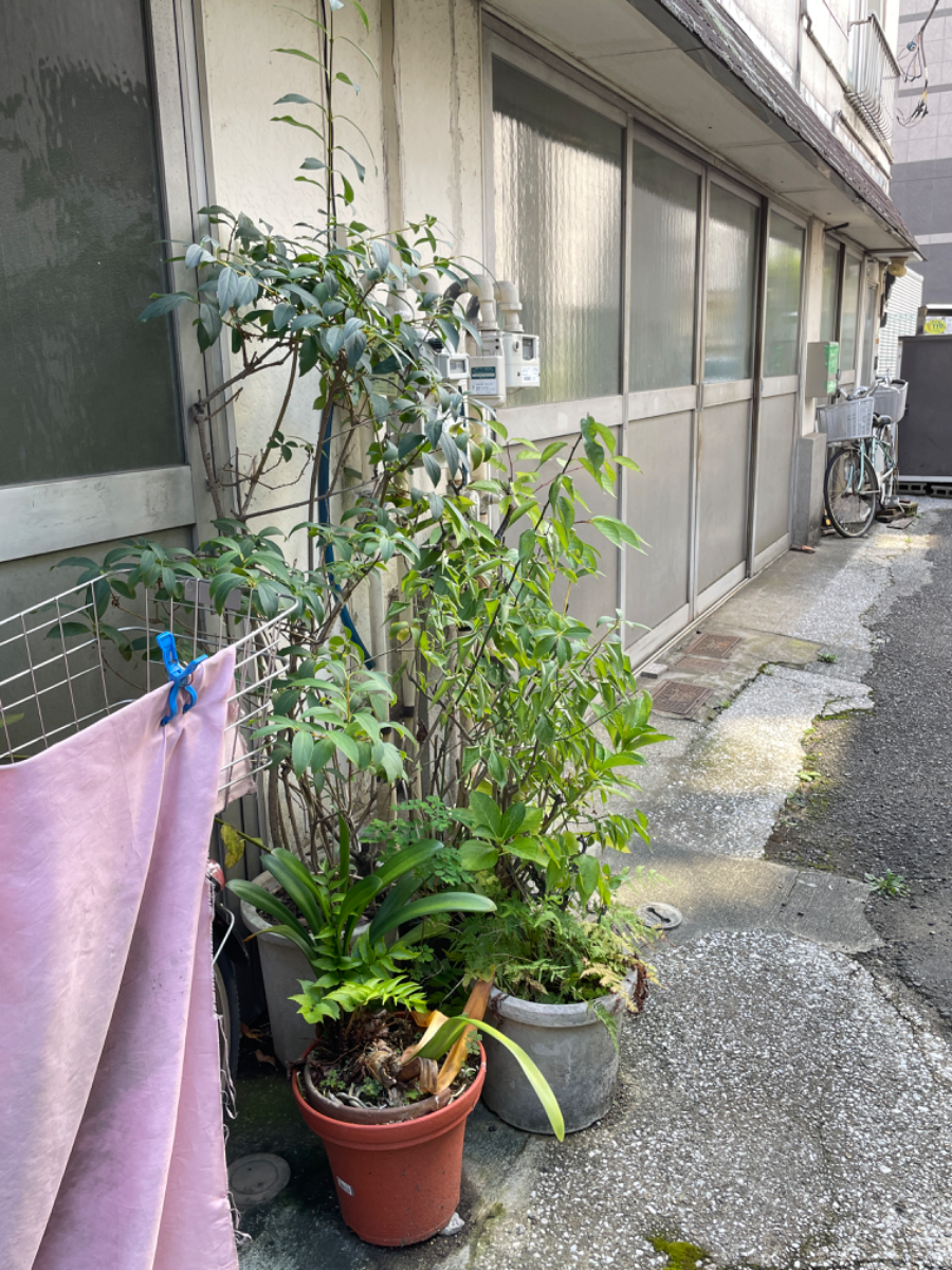 fresh/building/J00100366212_9
