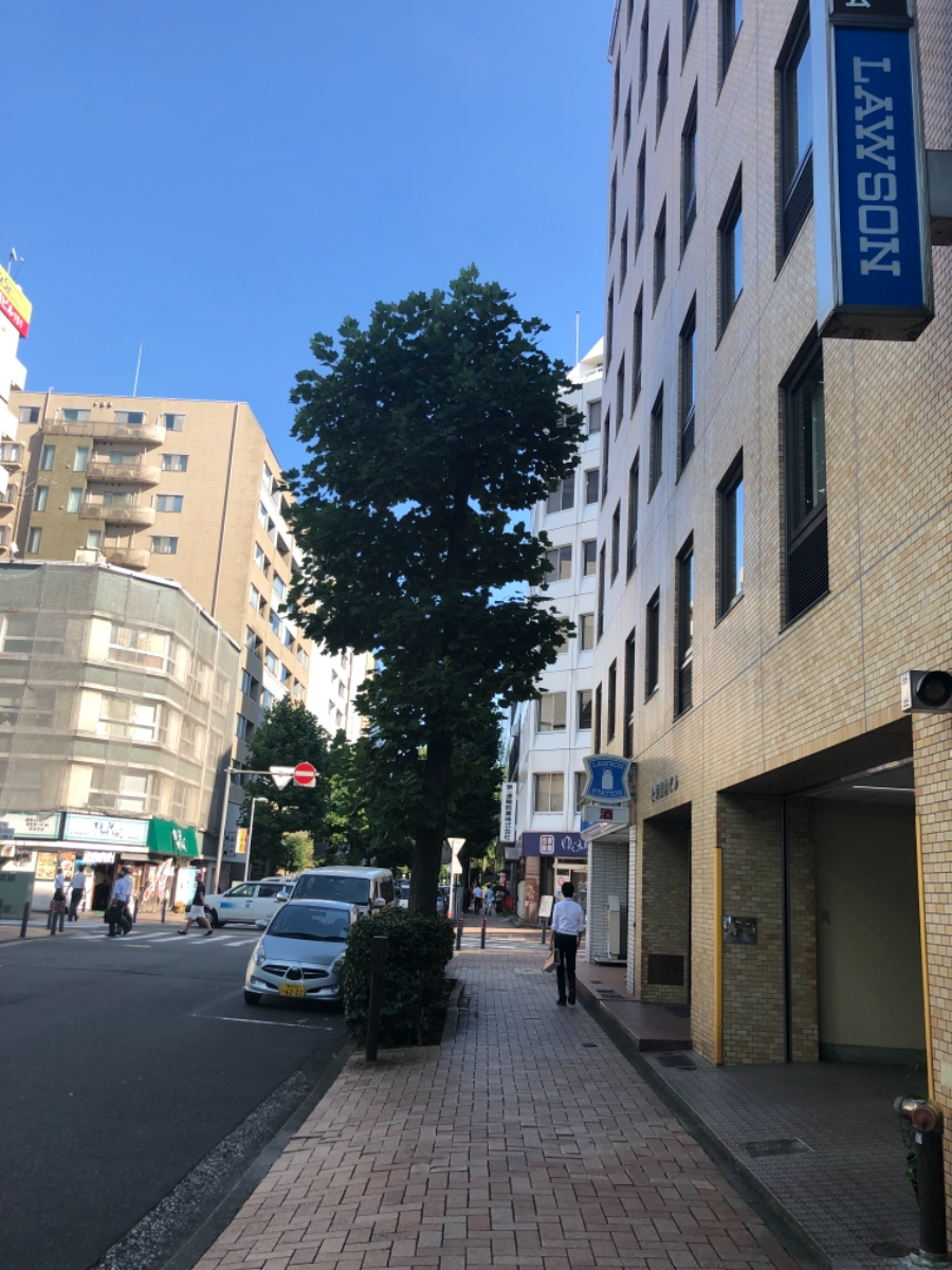 fresh/building/J00100366613_2