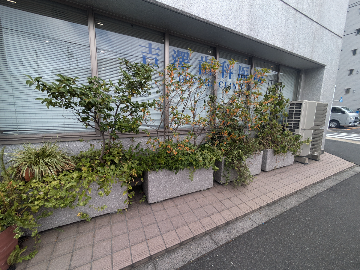 fresh/building/J00100366644_7