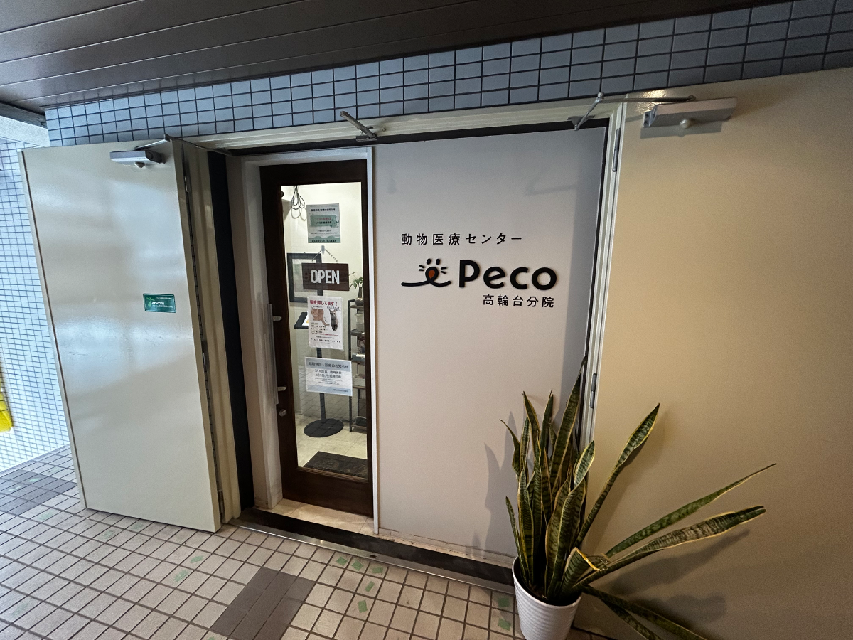 fresh/building/J00100366663_64