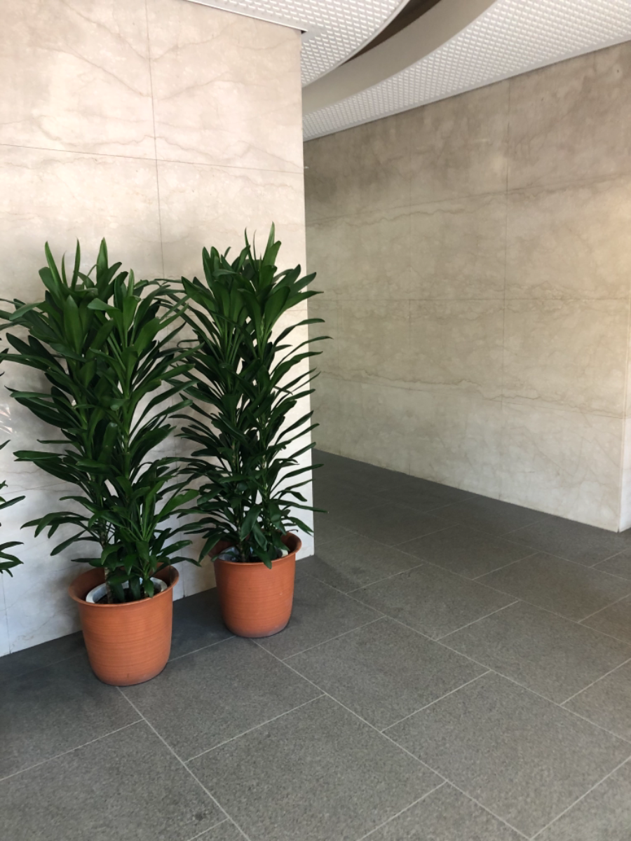 fresh/building/J00100366750_13