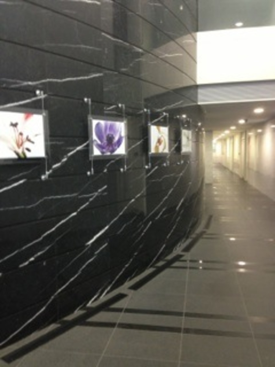 fresh/building/J00100366893_10