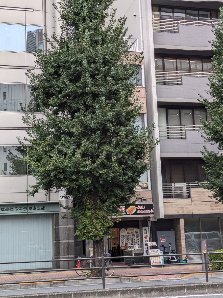 fresh/building/J00100367212_7