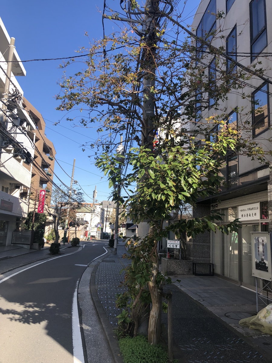 fresh/building/J00100367420_2