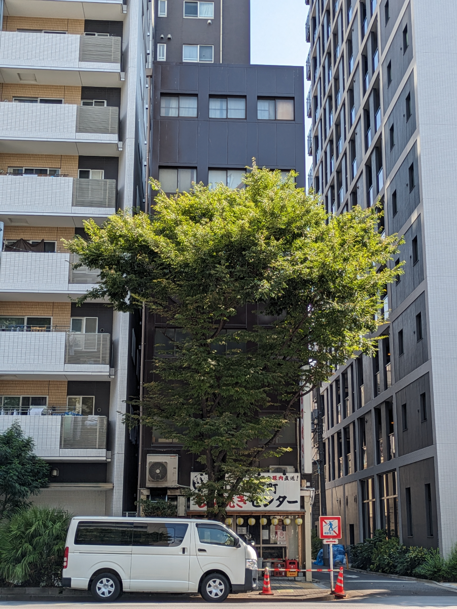 fresh/building/J00100367731_1