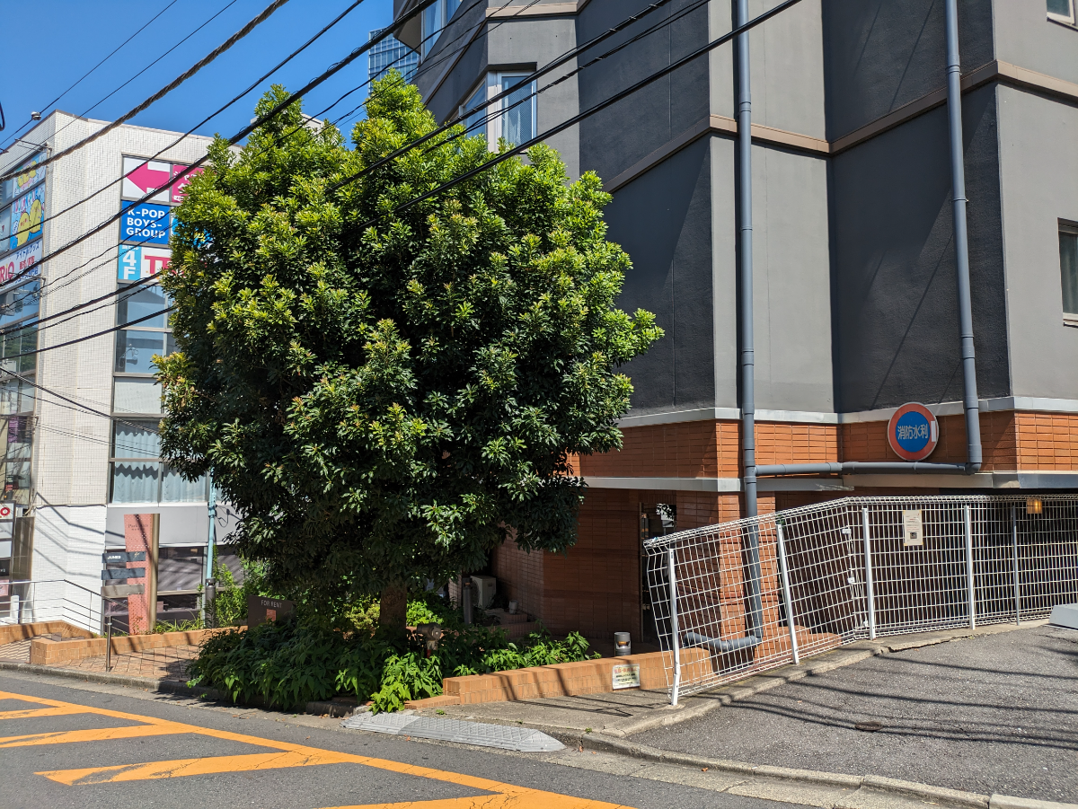 fresh/building/J00100368284_7