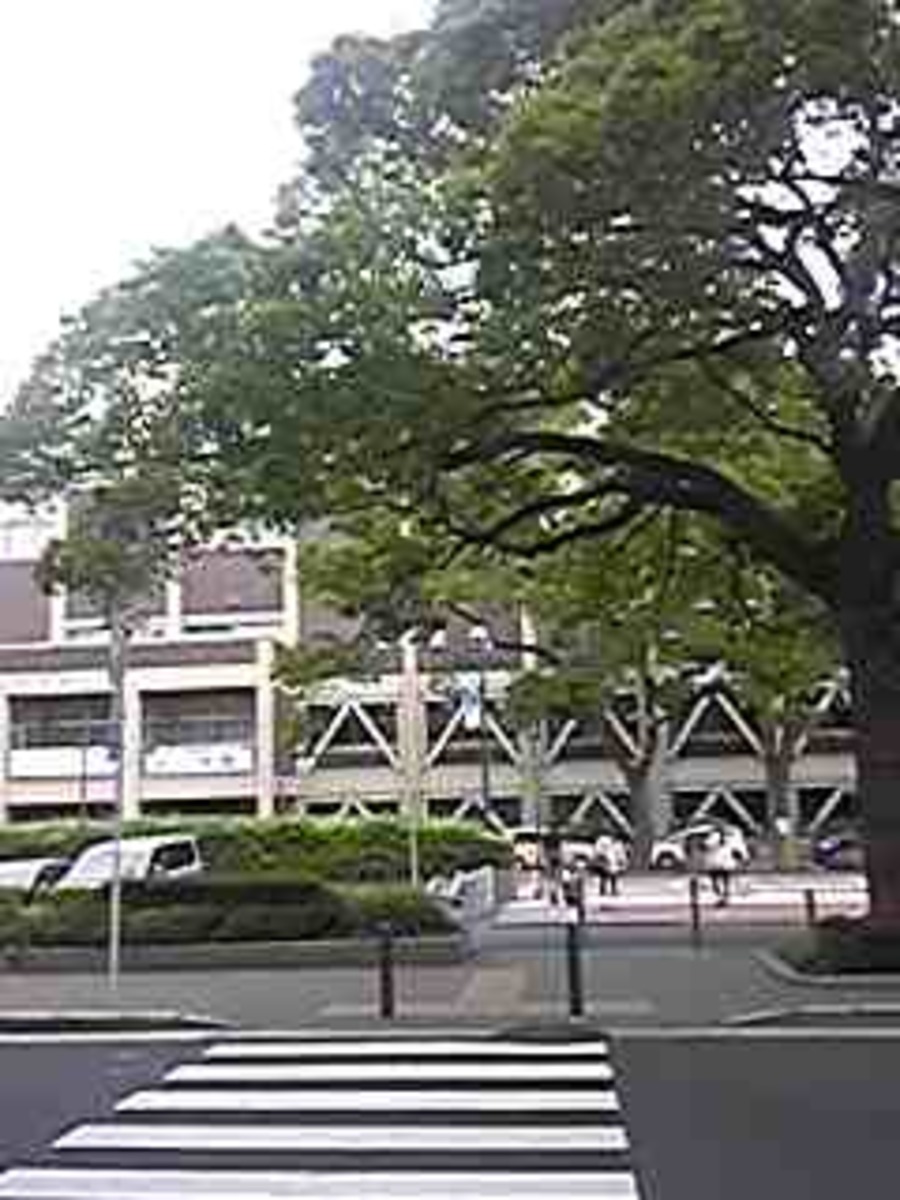 fresh/building/J00100368985_13