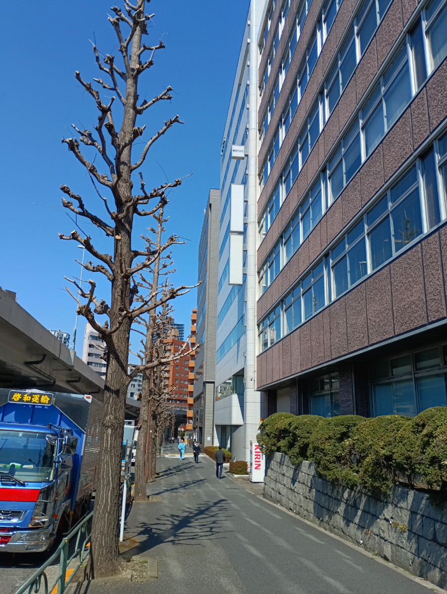 fresh/building/J00100369626_12