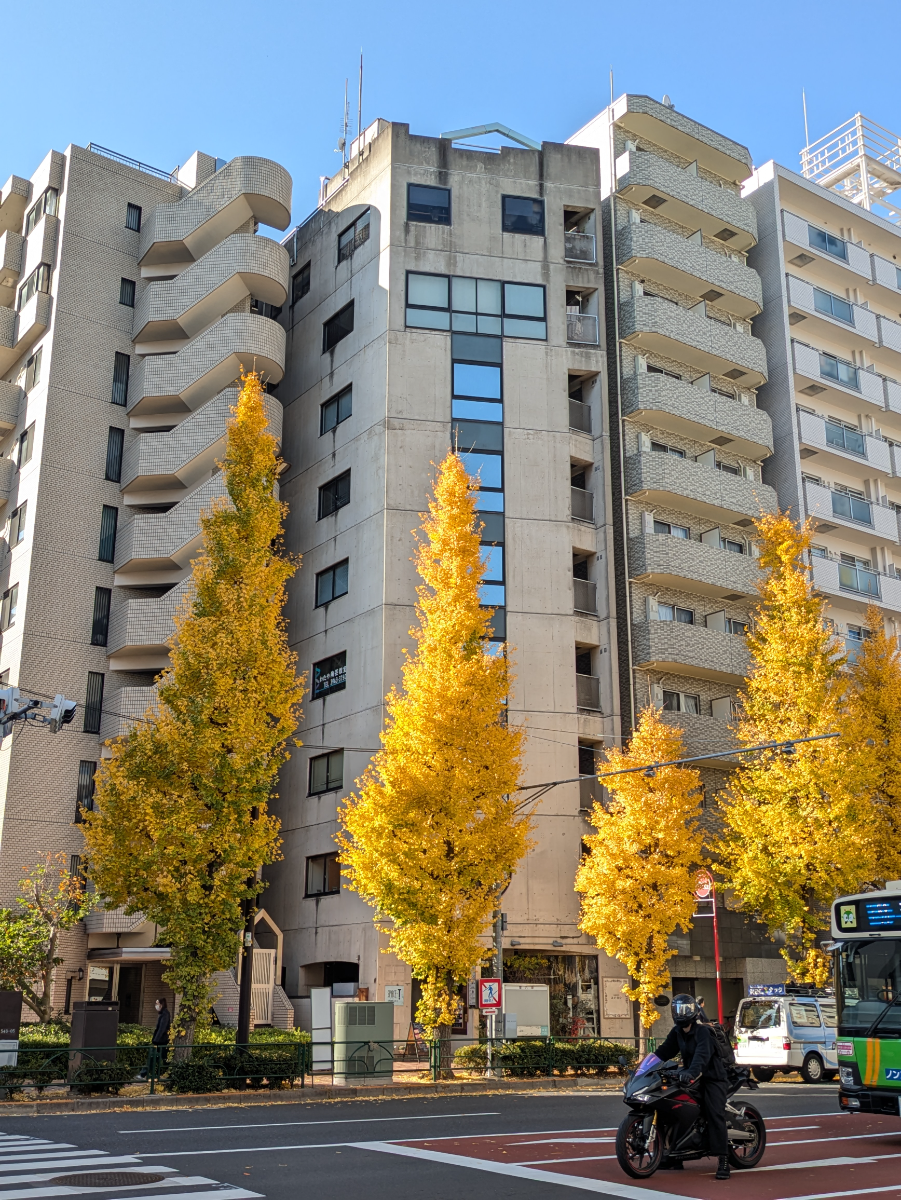 fresh/building/J00100370090_7