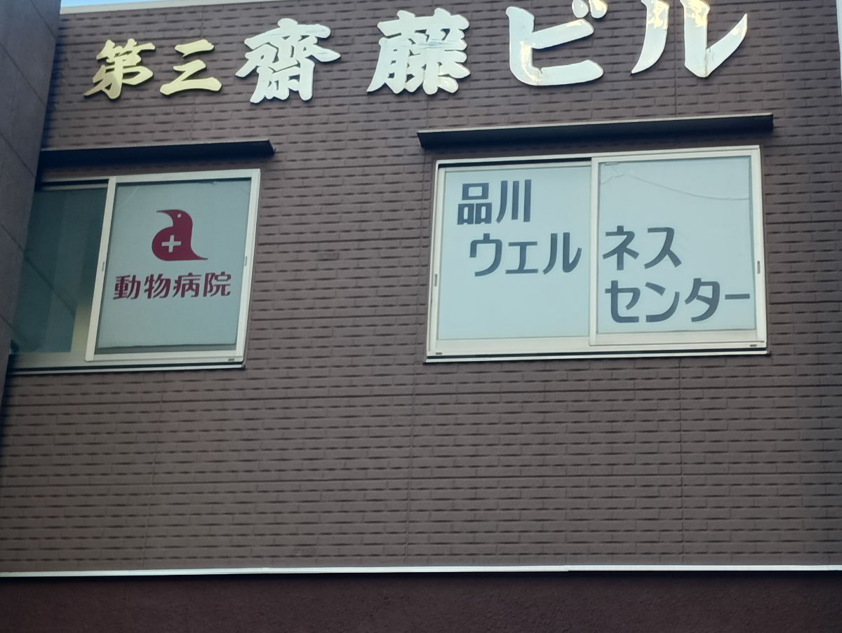 fresh/building/J00100370157_64