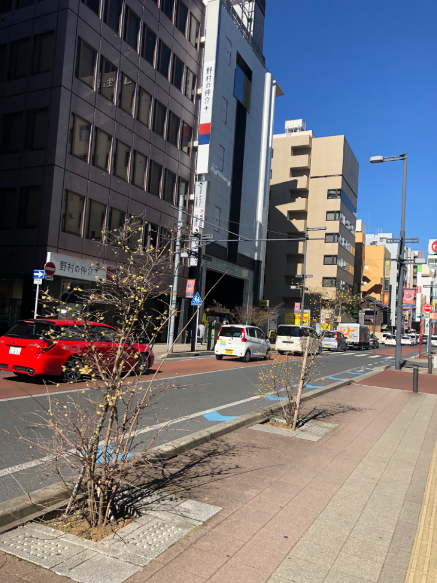 fresh/building/J00100370265_2