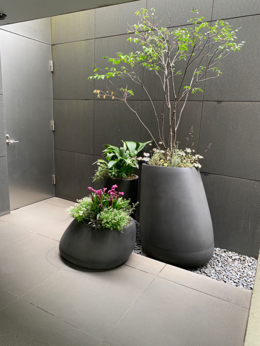 fresh/building/J00100370419_9
