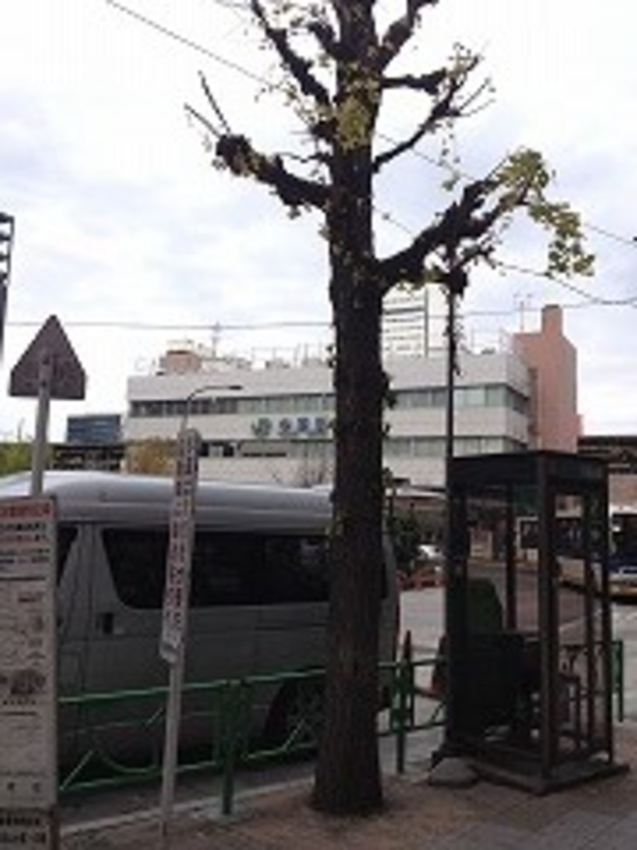 fresh/building/J00100370825_2