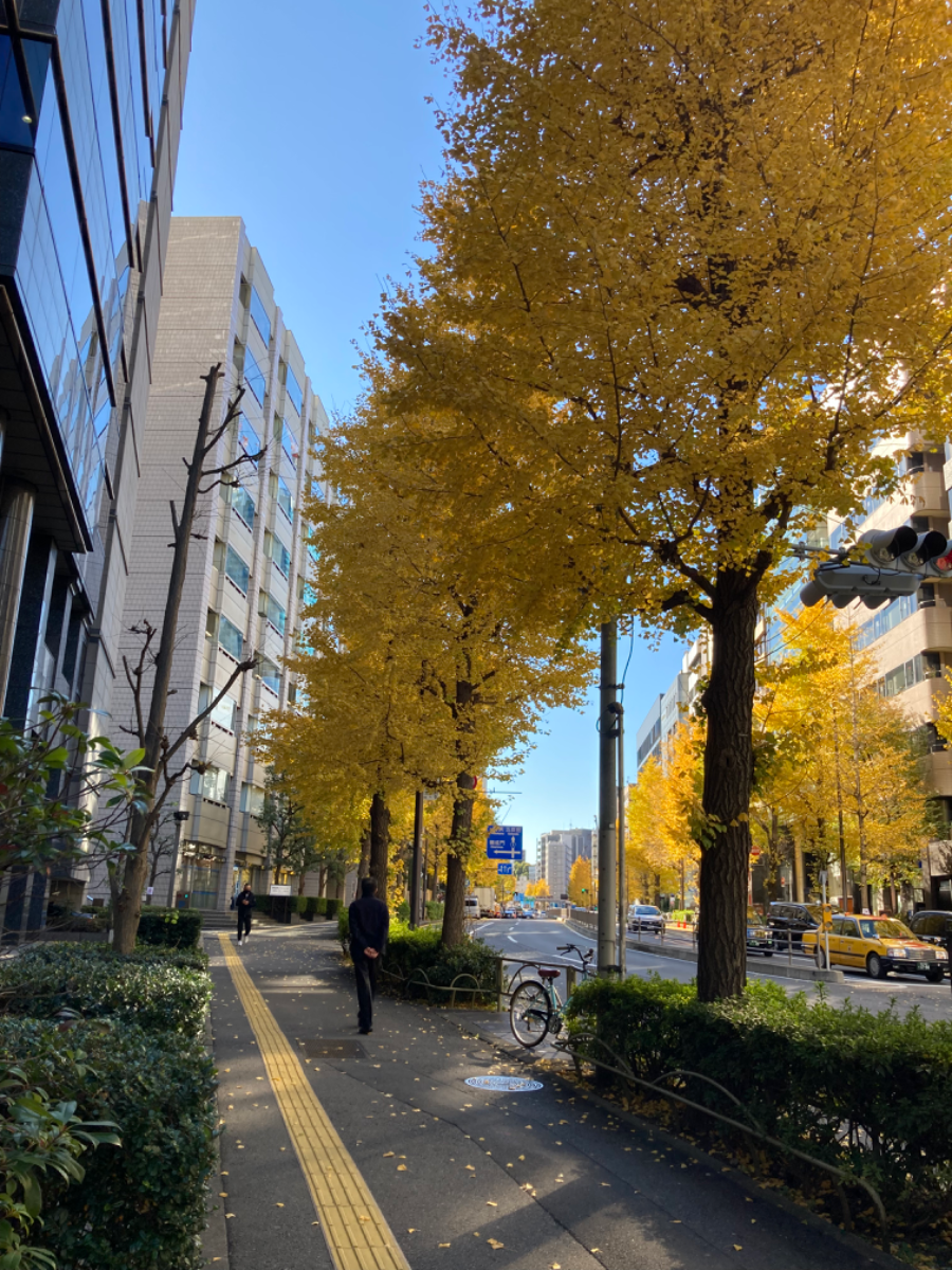 fresh/building/J00100371480_7