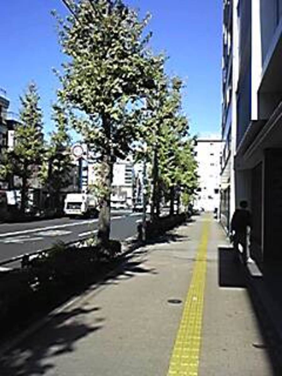fresh/building/J00100372349_2