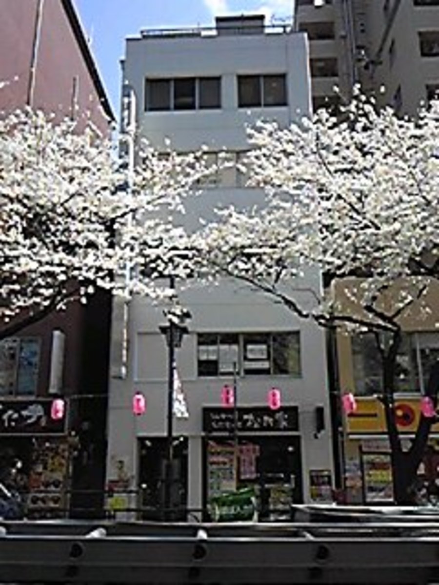 fresh/building/J00100373003_1