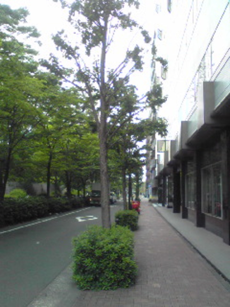 fresh/building/J00100373148_2