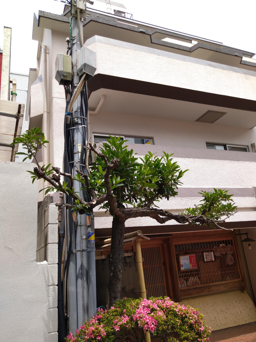fresh/building/J00100374200_13