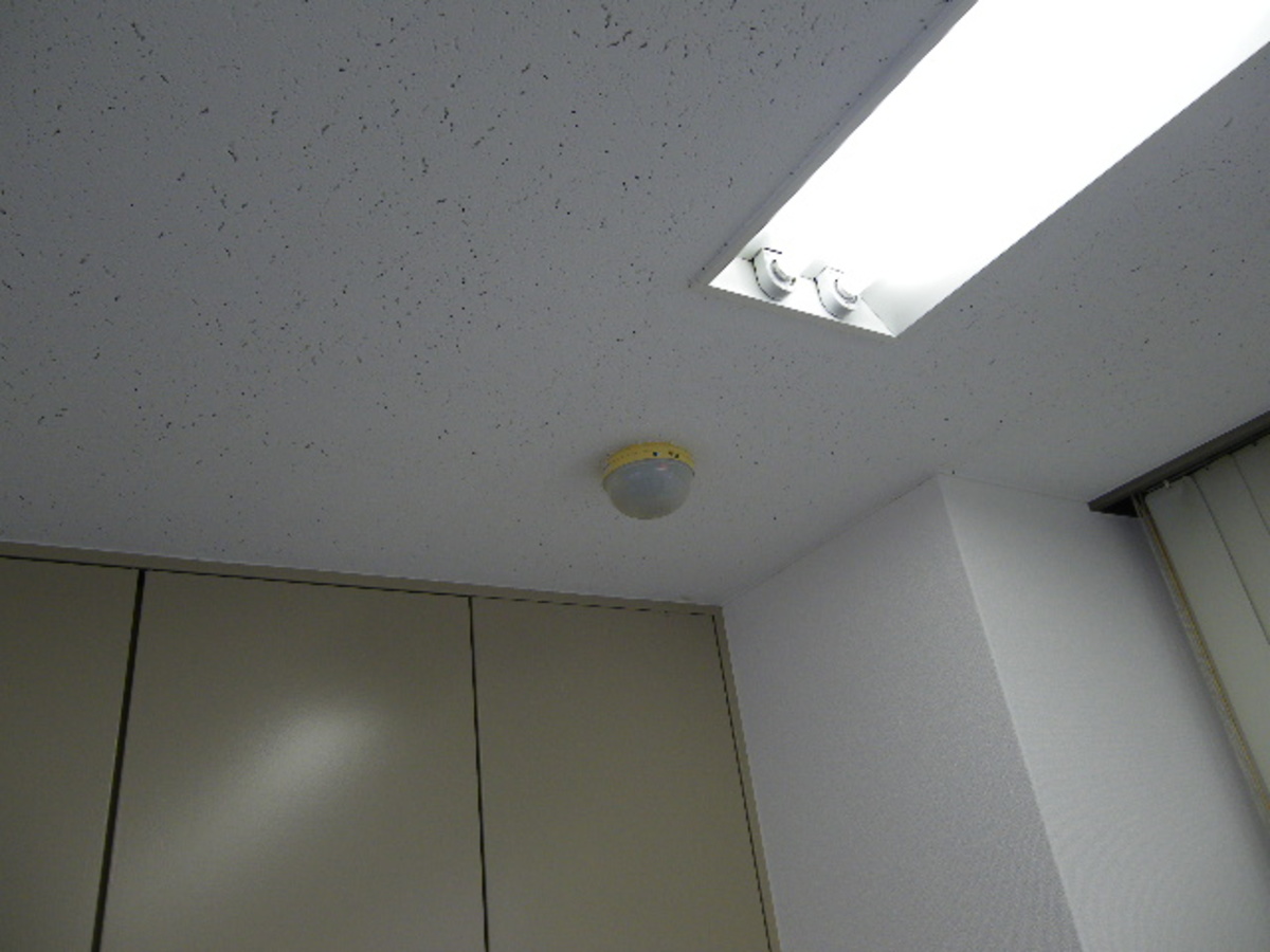 fresh/building/J00100374419_11