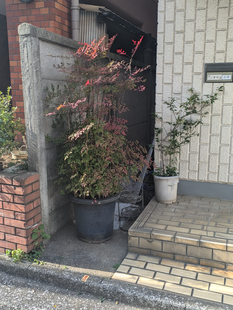 fresh/building/J00100374486_12