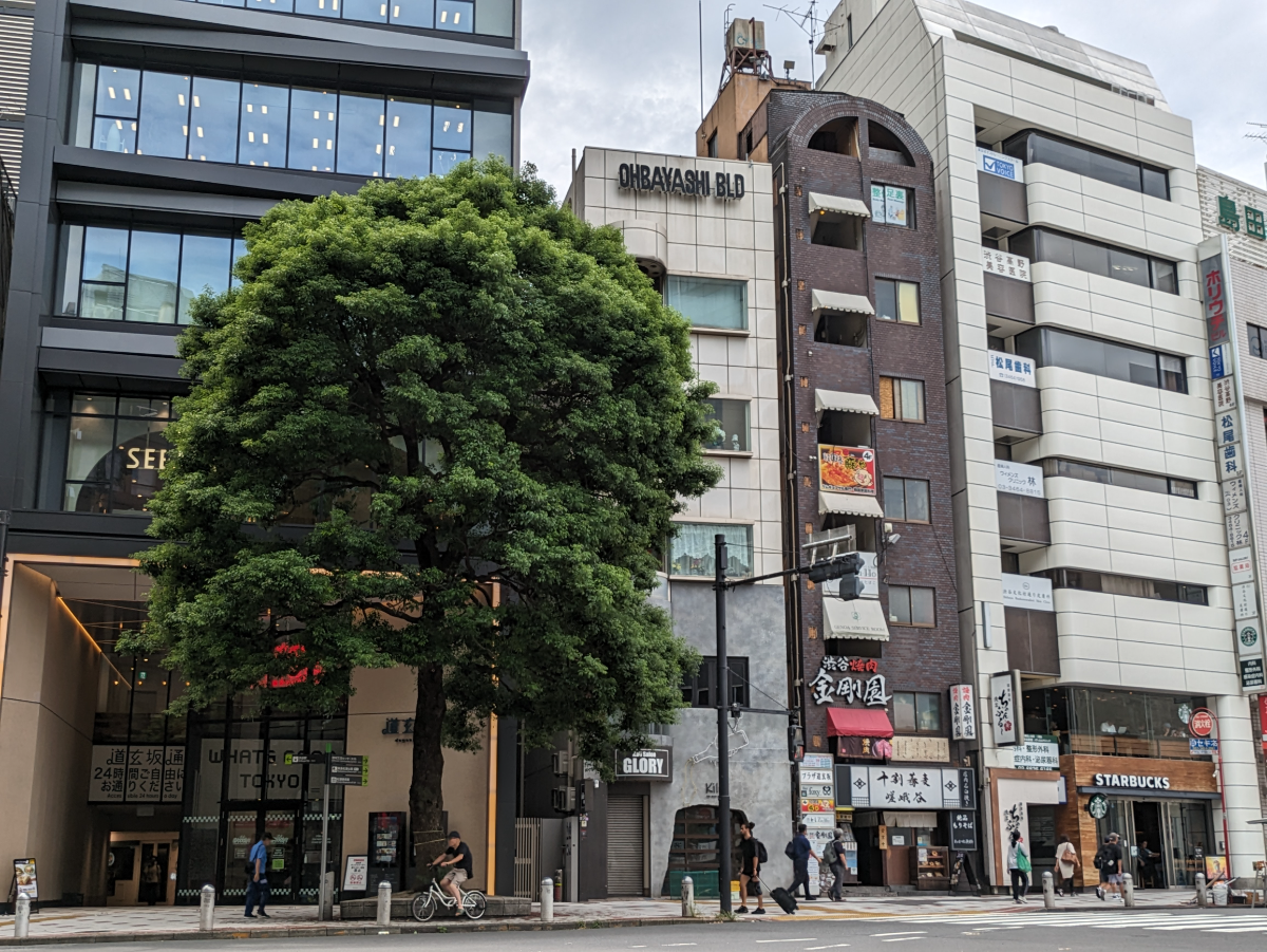 fresh/building/J00100374499_6