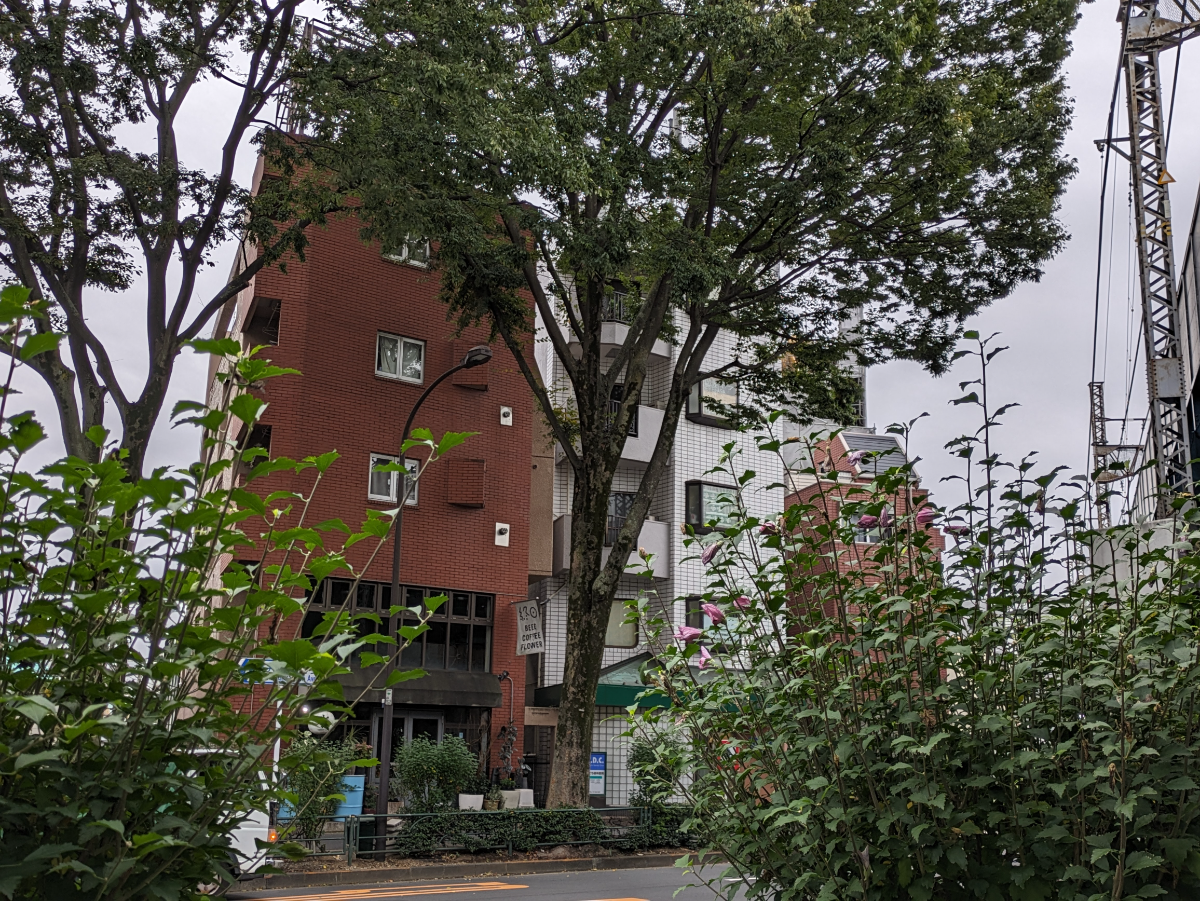 fresh/building/J00100374548_19
