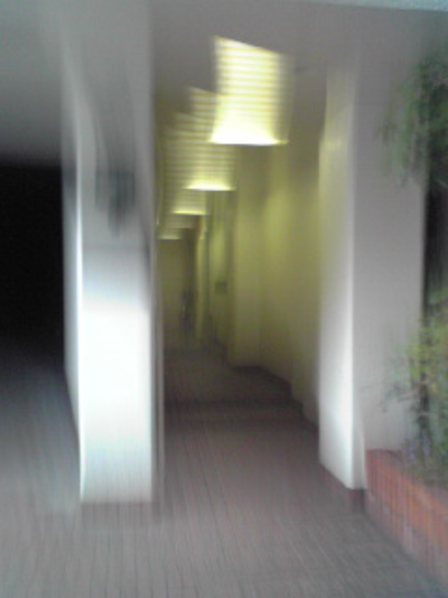 fresh/building/J00100374558_3