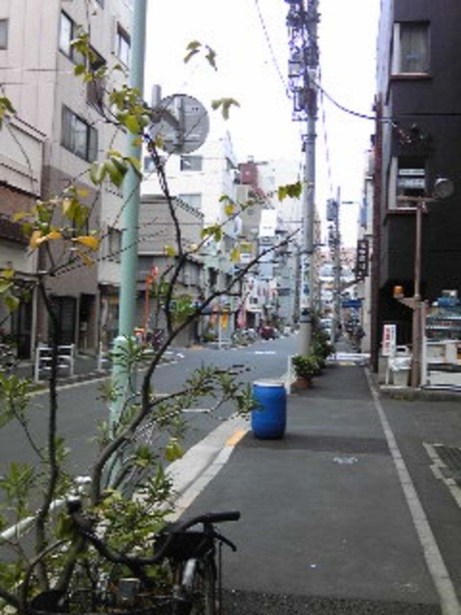 fresh/building/J00100374693_2