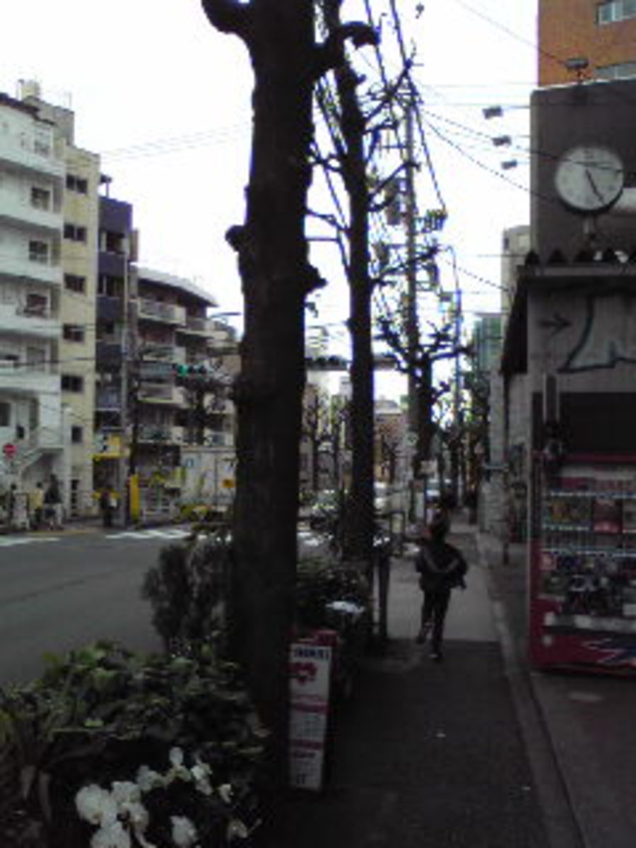 fresh/building/J00100374877_2