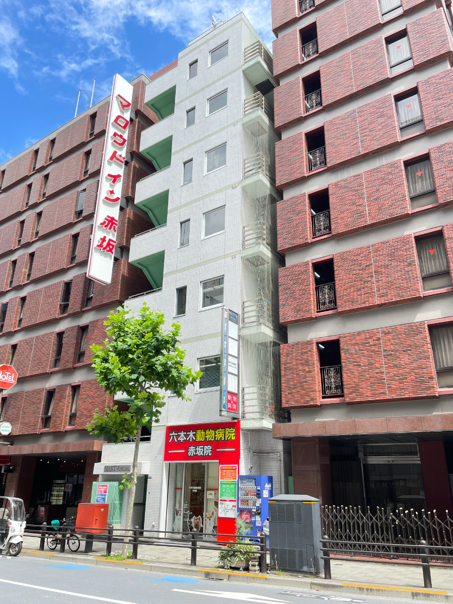 fresh/building/J00100375019_10