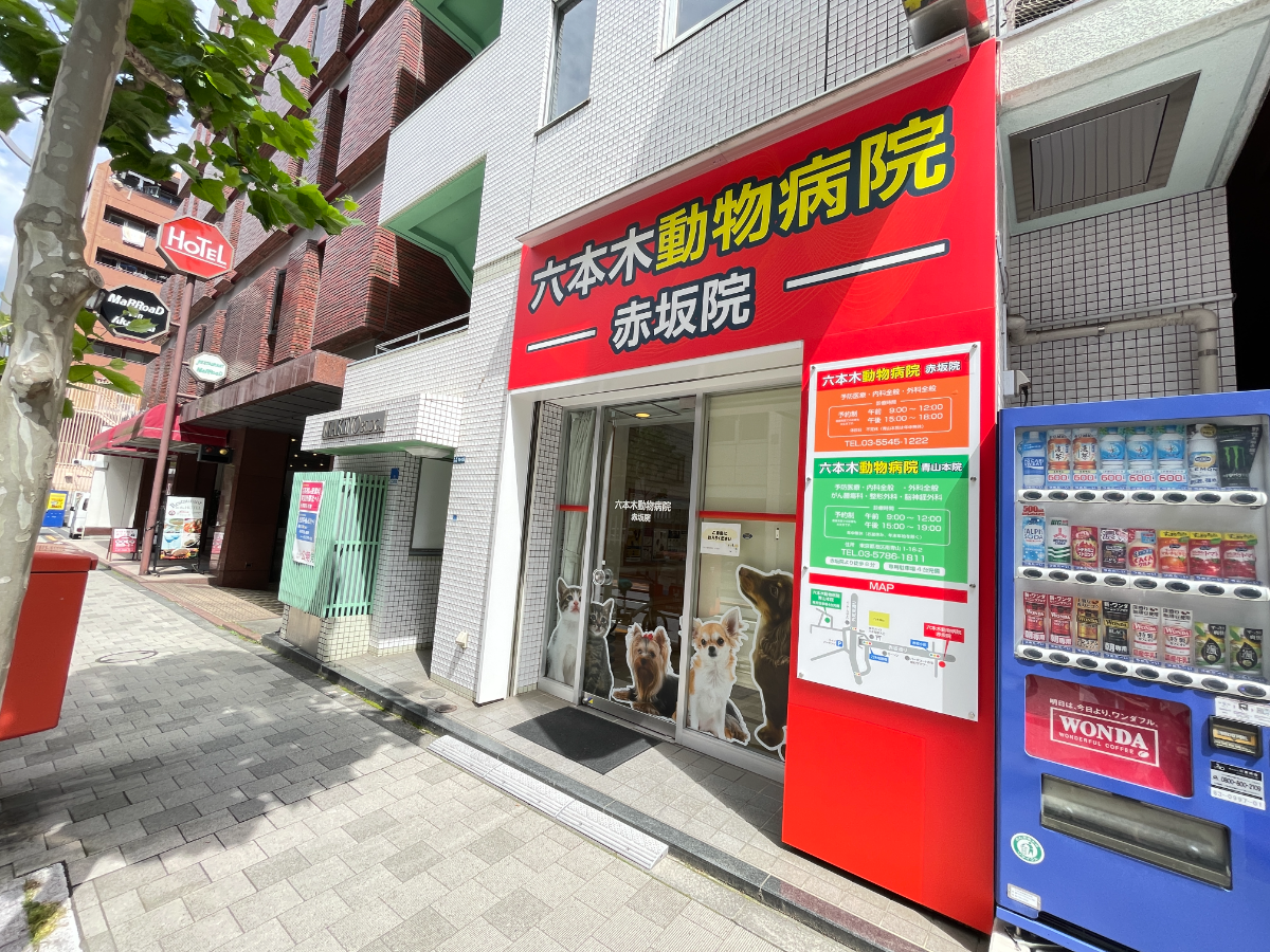 fresh/building/J00100375019_11